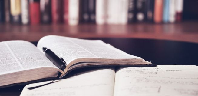 Bücher & Fachliteratur